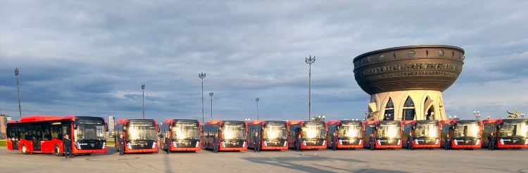 29 автобус калининград расписание онлайн
