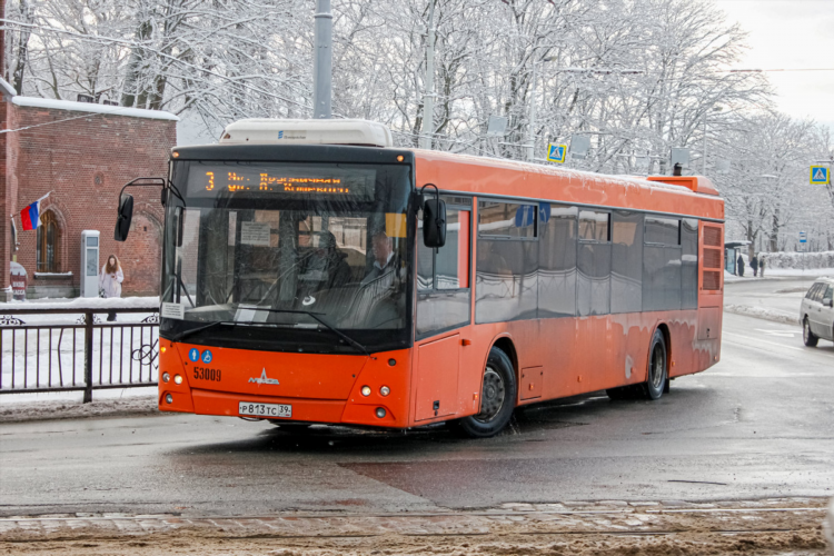 Автобус онлайн калининград отслеживание