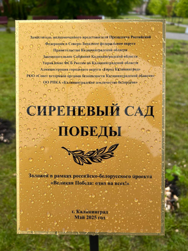 Дружный чкаловск в калининграде в контакте
