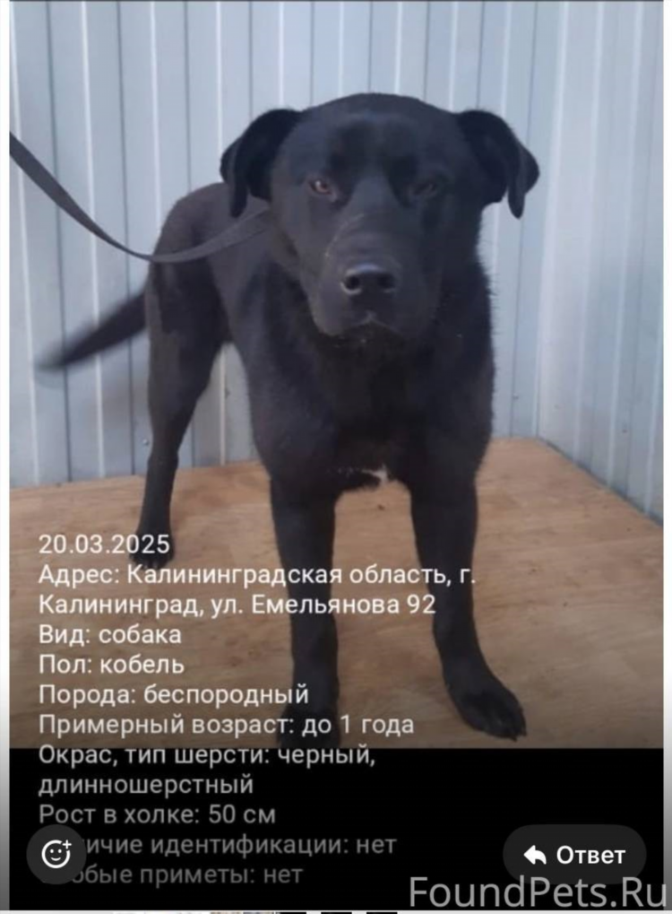 Емельянова 92 калининград