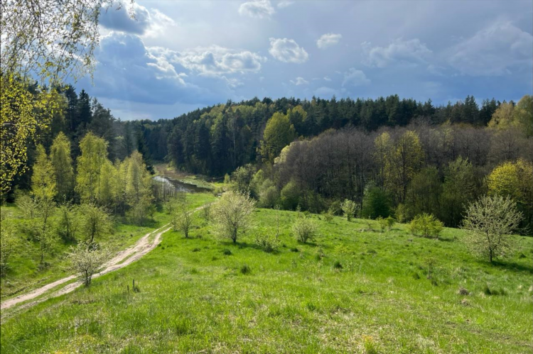 Фармацевт калининград