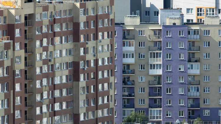 Калининград квартиры снять на длительный срок