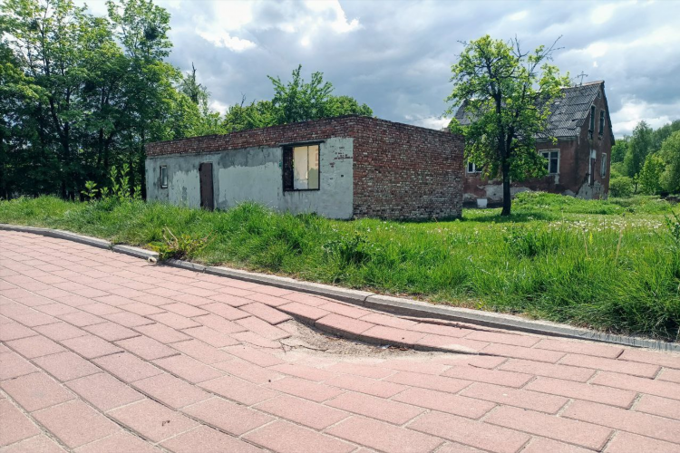 Катина калининград