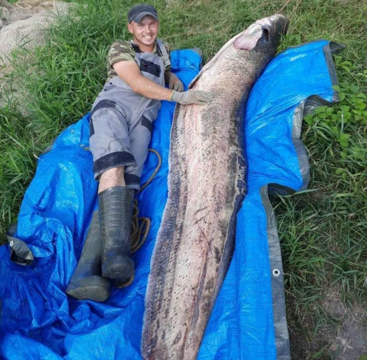 Кенигфишинг вк калининград