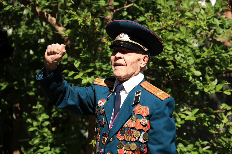 Курская дуга в калининграде