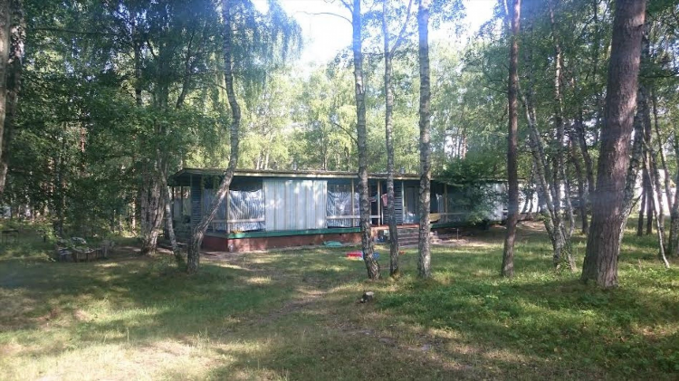 Лесное калининград