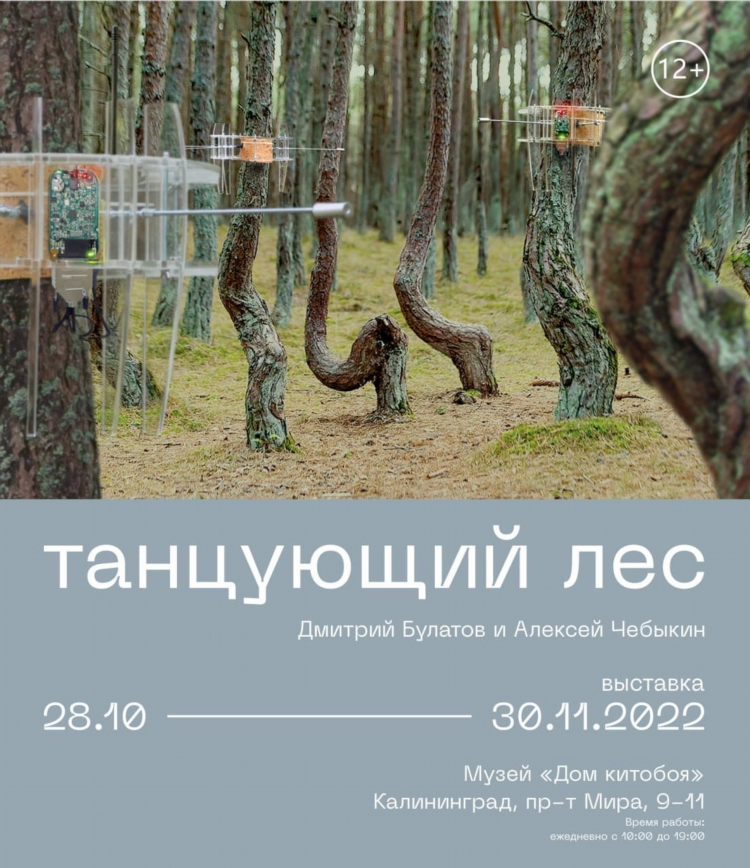 Морошка театр калининград