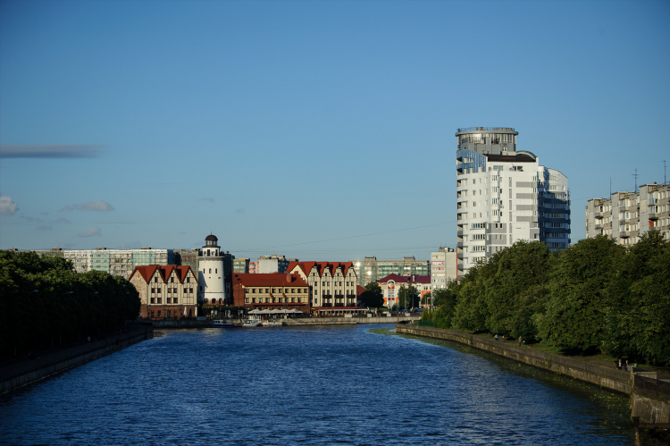 Население города калининграда