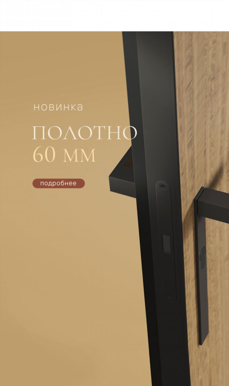 Новые двери в калининграде