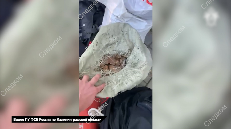 Опг калининград