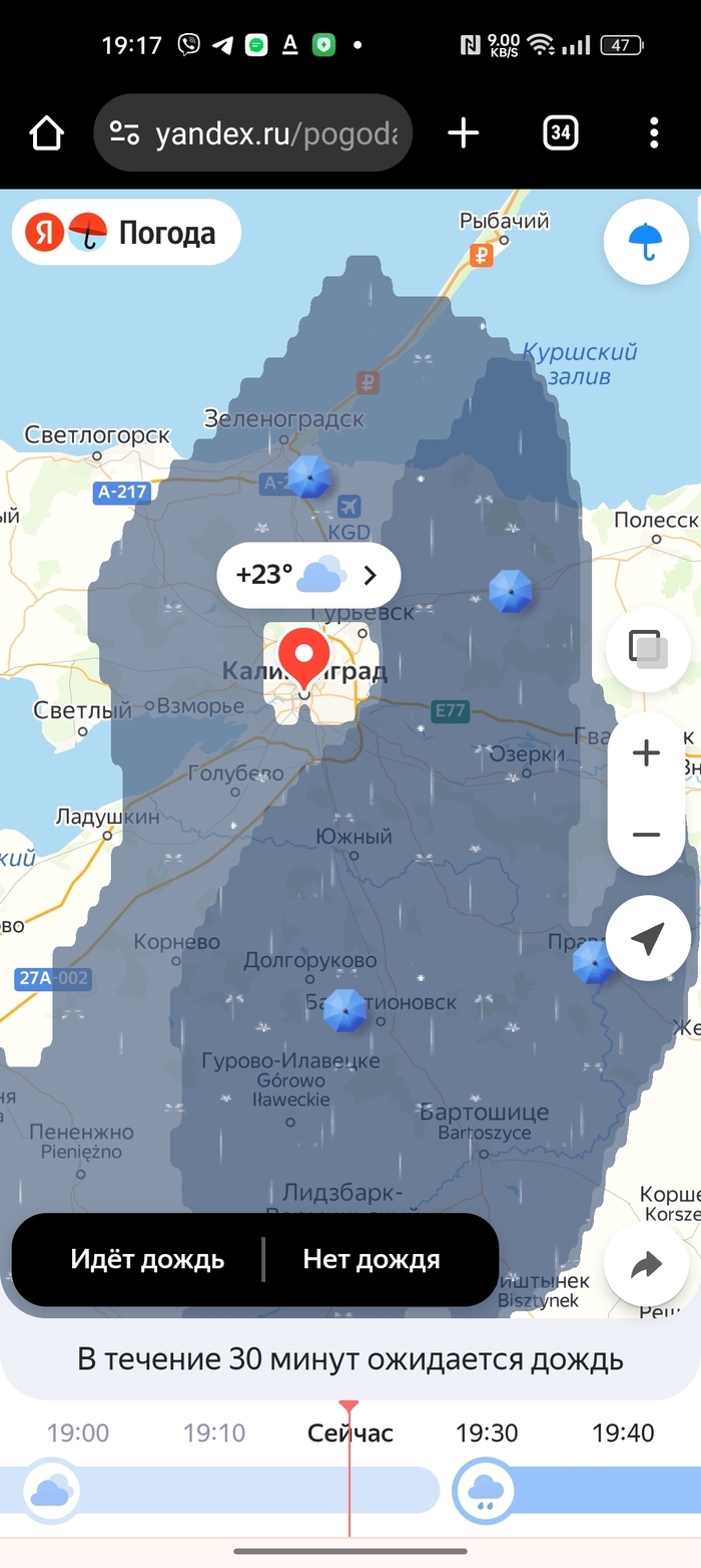Погода по часам калининград