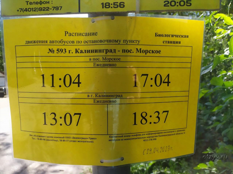 Расписание электричек сокольники калининград