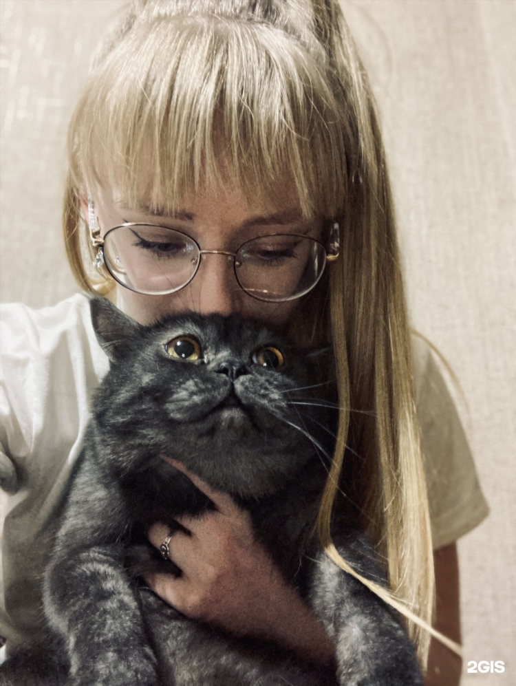 Рыжий хвост калининград