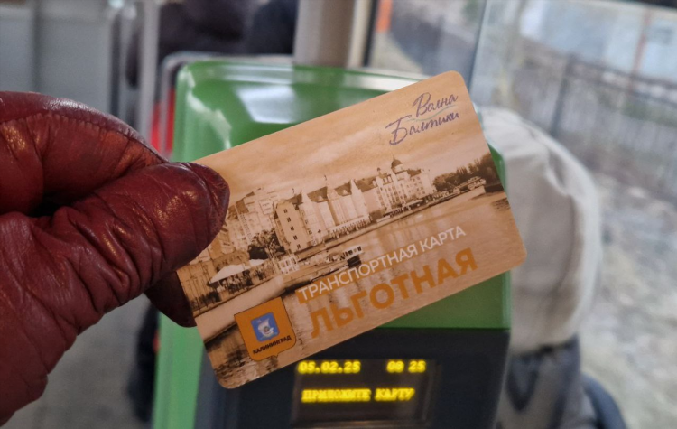Тис диалог офис в калининграде