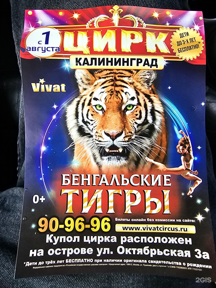 Цирк на острове калининград